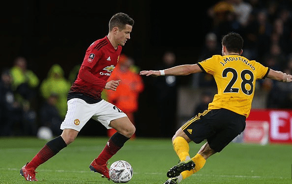 献了稳定的 献了稳定的